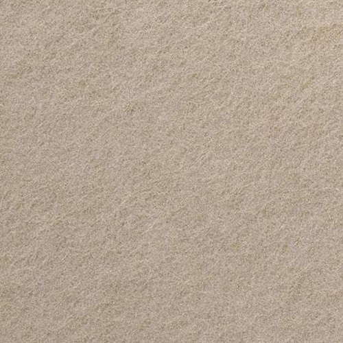 PET Beige Color Swatch 