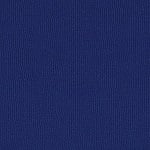 Royal Blue Color Swatch