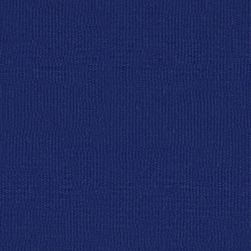 Royal Blue Color Swatch